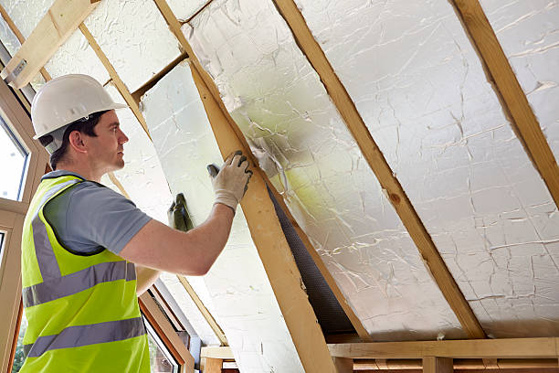 Best Wall Insulation Contractor  in Scobey, MT